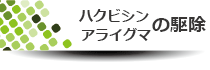 ハクビシン、アライグマ駆除