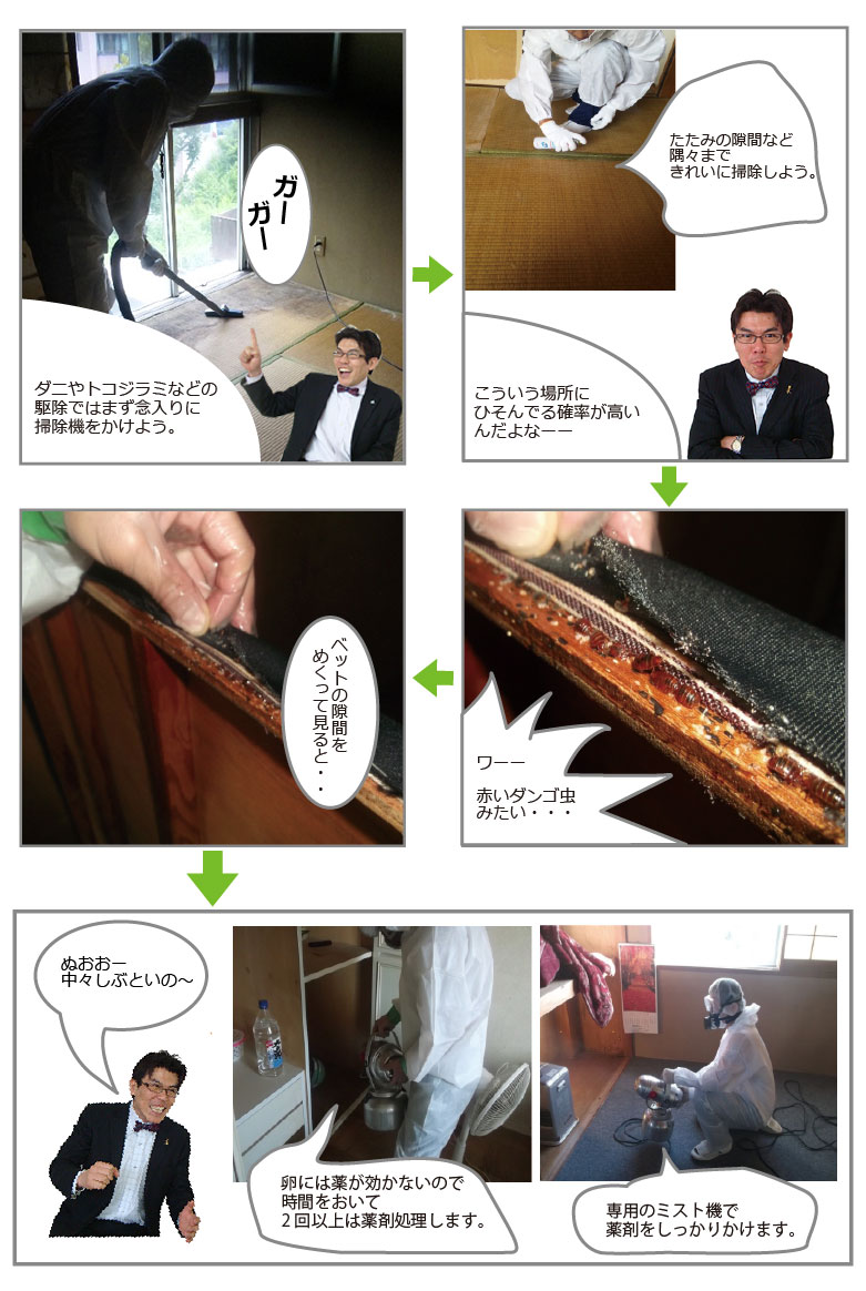 トコジラミ駆除